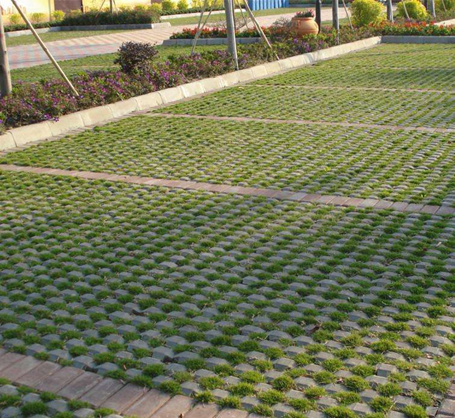 1548786611225857.jpg c04.jpg